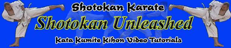 Shotokan Unleashed